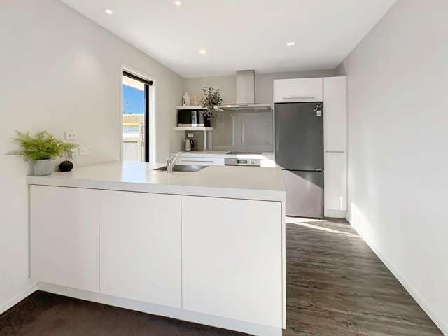 24 Caithness St New Brighton_1