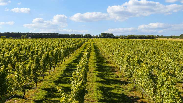 2321 Main South Road Burnham_20