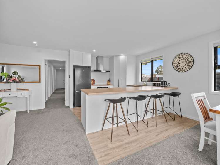 20 David Street Hinds_6