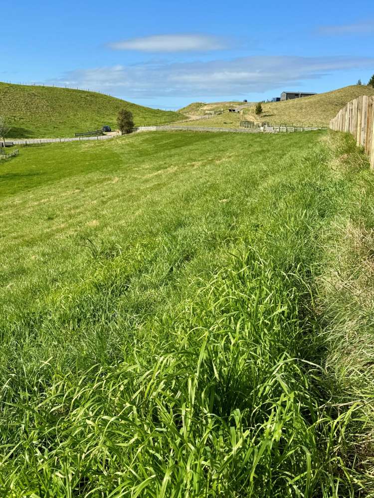 Lot Lot 1/1066 Dartmoor Road Puketapu_9