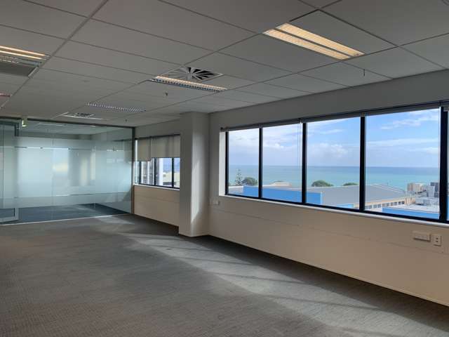 54 Gill Street New Plymouth_2