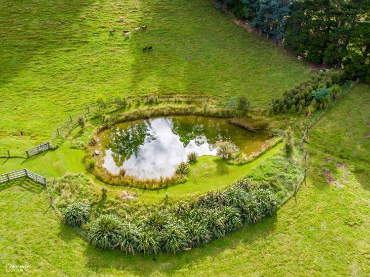 814 Mikimiki Road Mikimiki_15