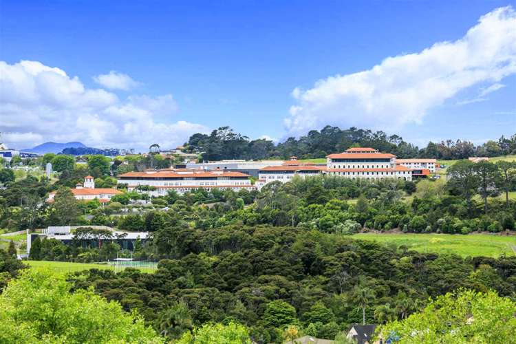 61 The Avenue Albany_11