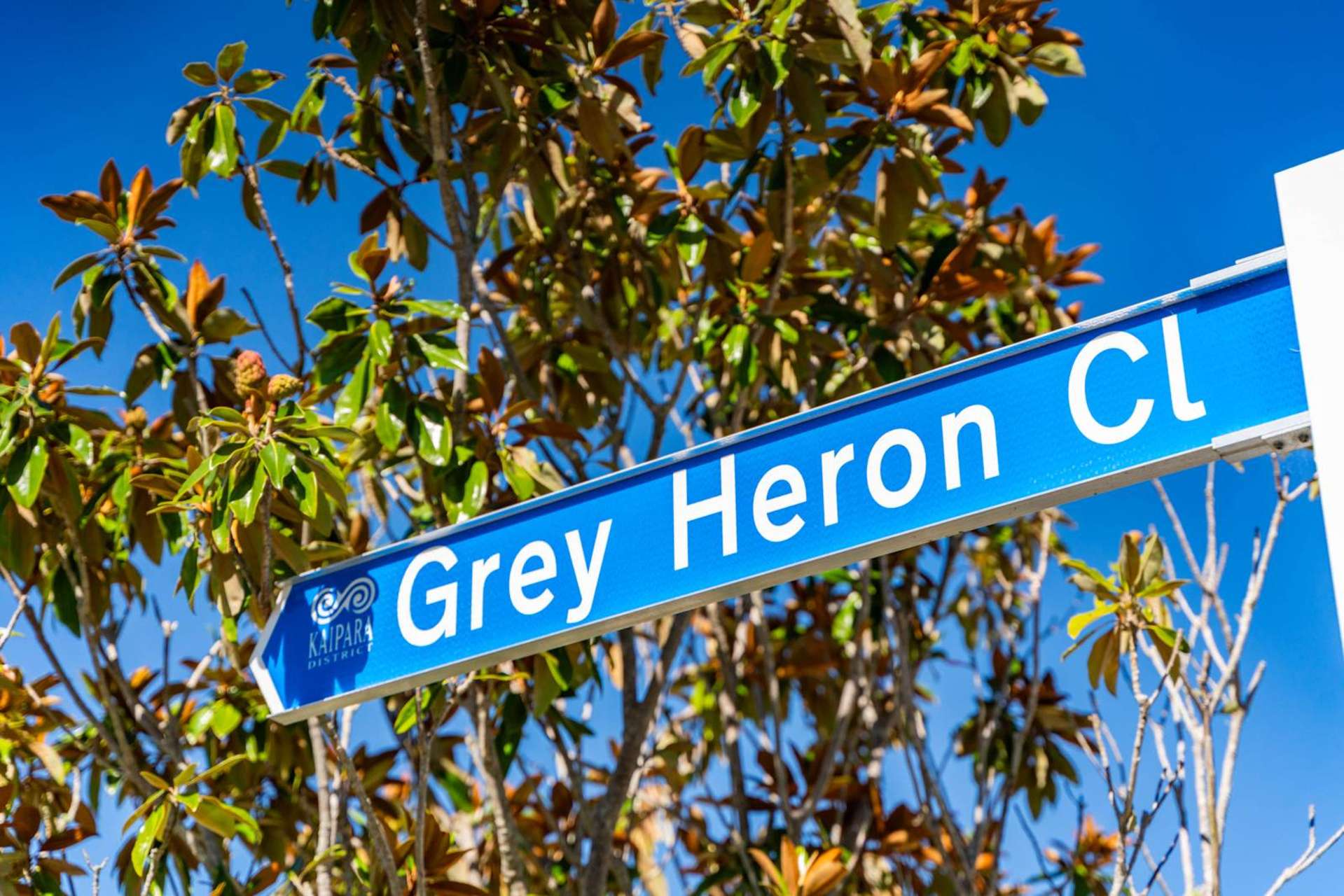 6 Sites on Grey Heron Close Mangawhai Heads_0