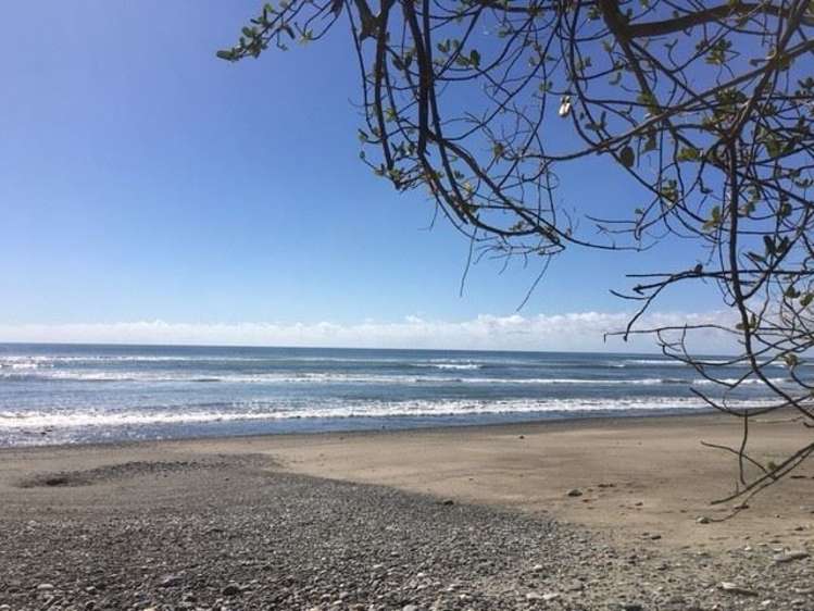 19 Corbett Street Hector_7