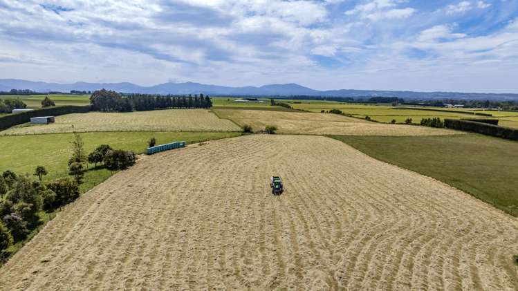 844 Oxford Road Fernside_27