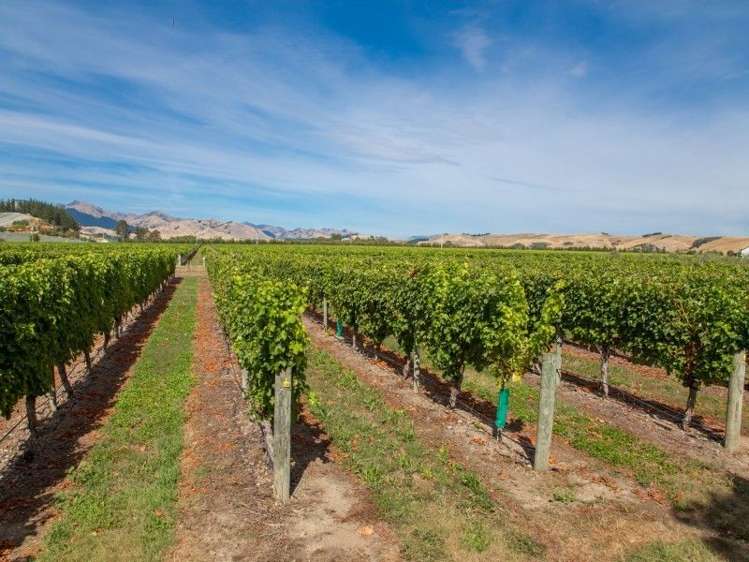 290 Brookby Road Hawkesbury_14