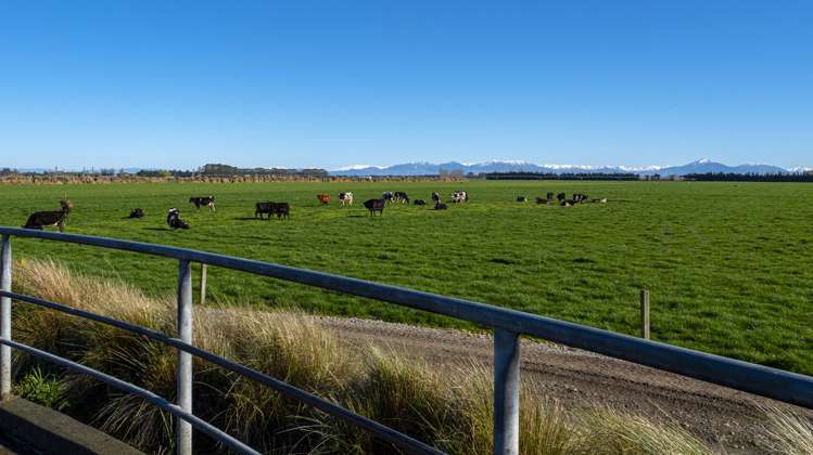 368 Crows Road Coldstream_5