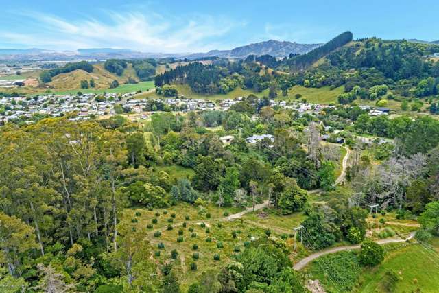 Proposed subdivision - 141 Valley Road Mangapapa_1