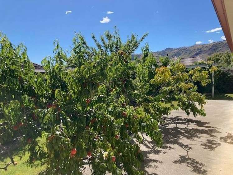 38 Antrim Street Cromwell_12