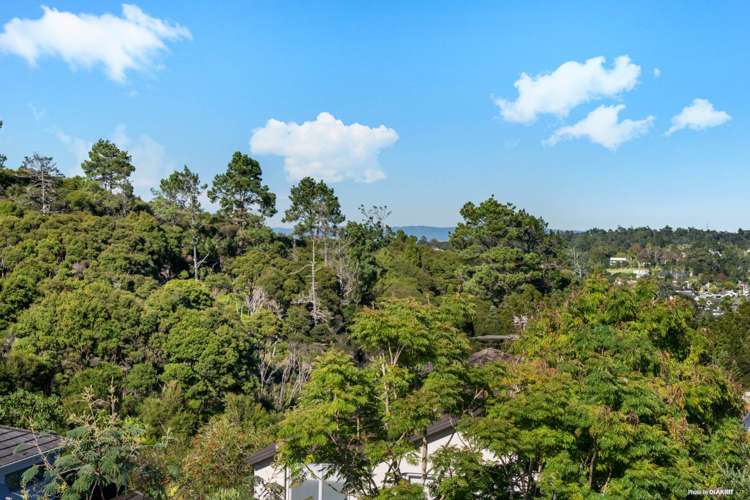 17 Quail Drive Albany Heights_24