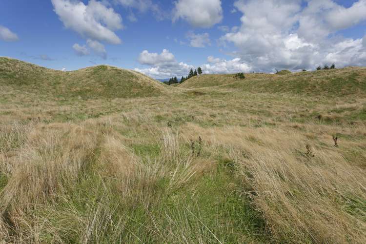 459 Otake Road Marotiri_8