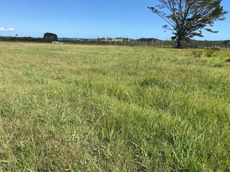 233 Heath Road Awanui_21