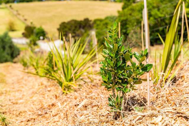 167 Barrier View Road Mangawhai_2