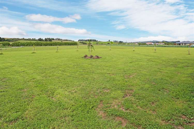 557 Waiuku Road Mauku_13