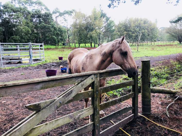 54 Young Access Dairy Flat_7