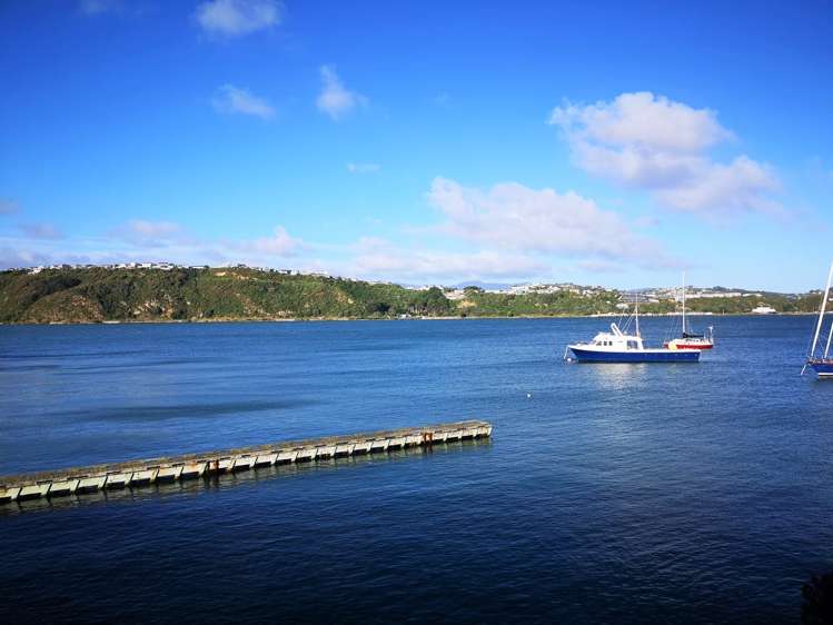 10/305 Evans Bay Parade Hataitai_1