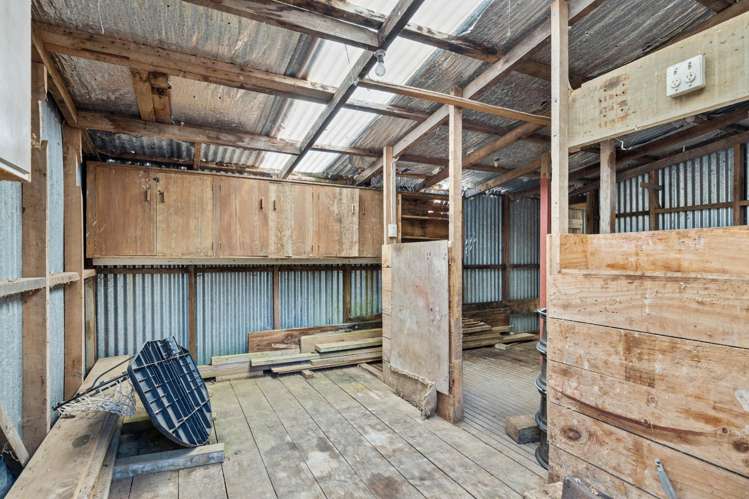 55 Pitt Road Hillsborough_33