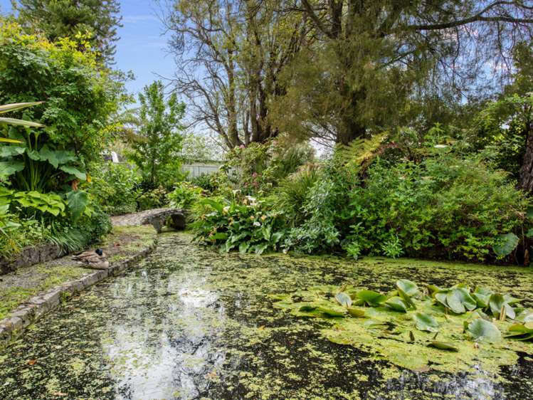 75a Alfred Street Blenheim Central_33