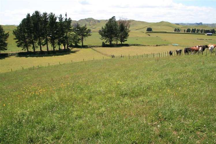 85 Gordon Road Stratford_7