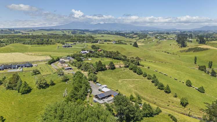 113 Dorset Road Hillsborough_28