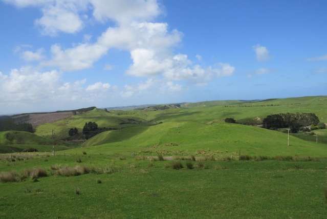 Airstrip Road Dargaville Surrounds_4