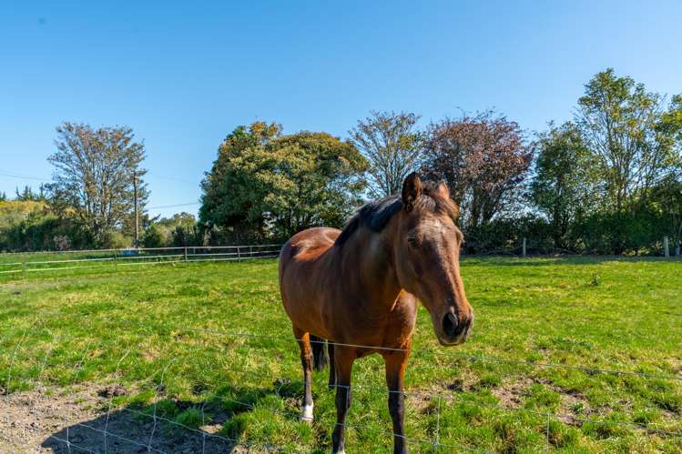 14 Arowhenua Station Road Kerrytown_23