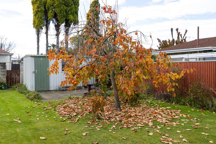 803 Cook Place Raureka_21