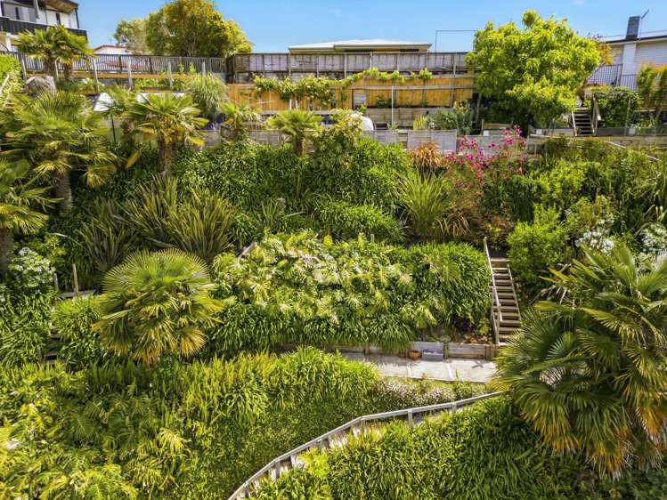 24 Anchorage Grove Maungatapu_69