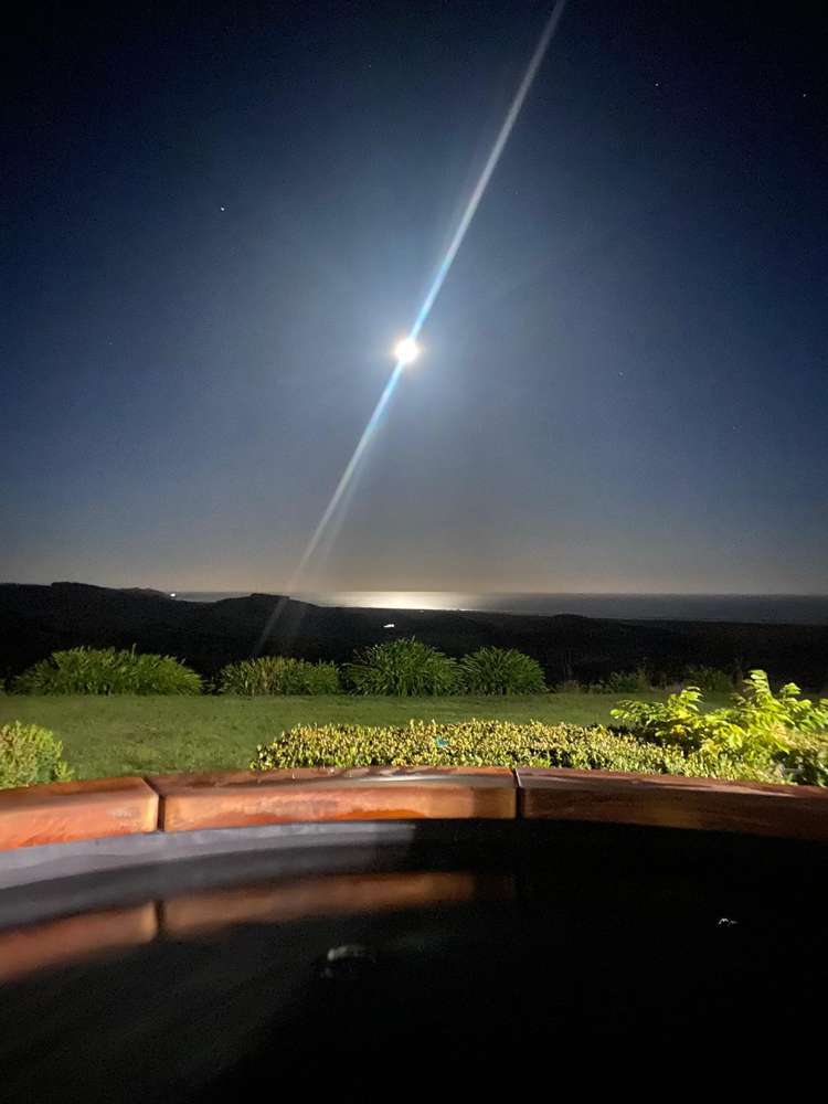 Lot 1-639 Blackhead Road_3