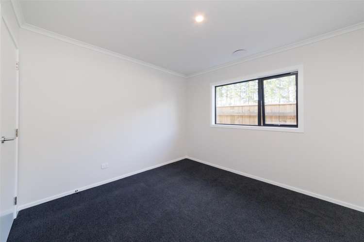 53 Hereford Street Marton_33