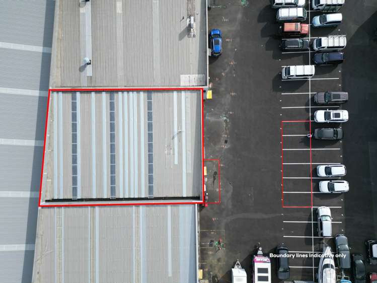 35J Maurice Road Penrose_7