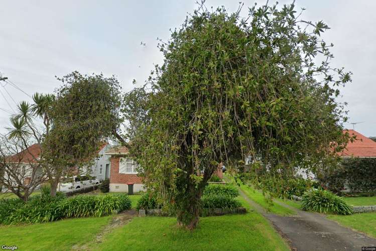 13 Massey Avenue Greenlane_12