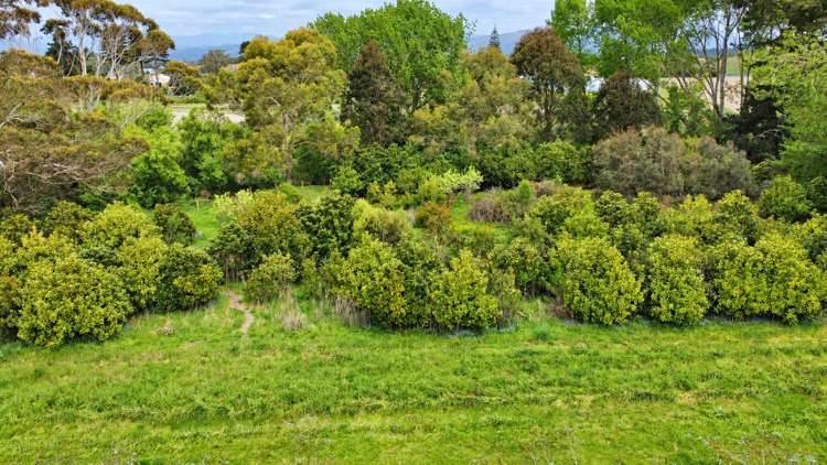 31-36 Bennetts Road Otaki_12