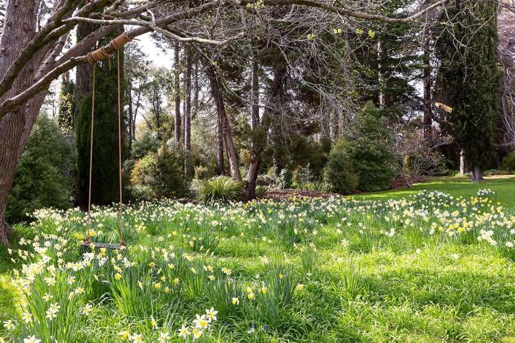 171 Gladstone Road South East Taieri_21