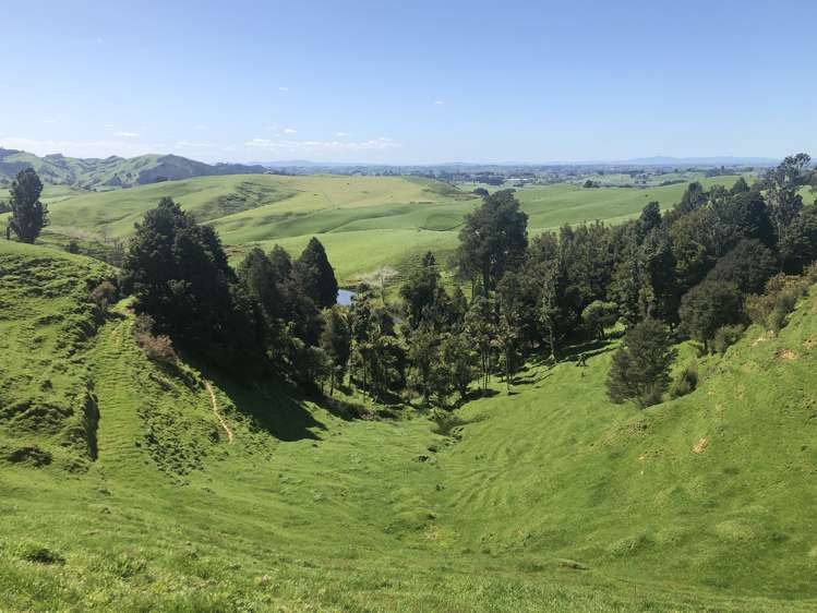 1026 Limeworks Loop Road Karamu_22