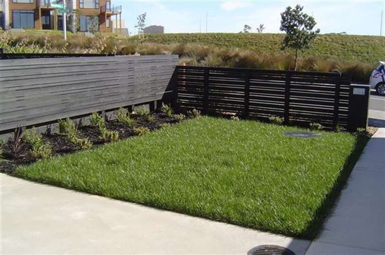 61 Caldera Drive Long Bay_8