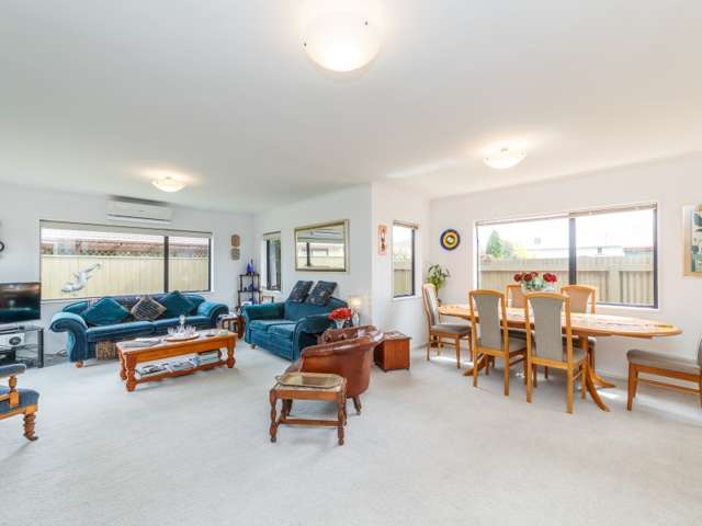 8a Pascal Street Palmerston North Central_3