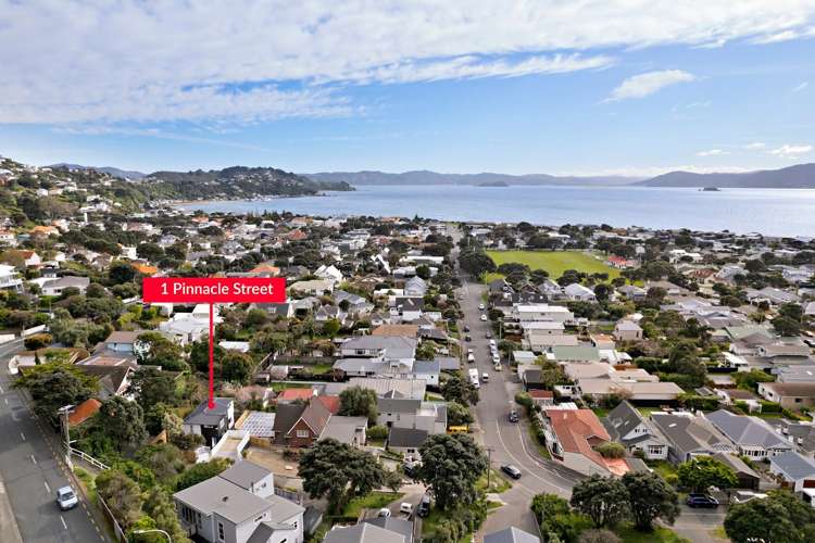 1 Pinnacle Street Seatoun_21