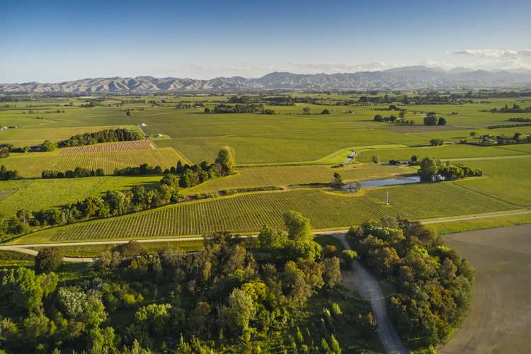 212 Selmes Road Rapaura_28