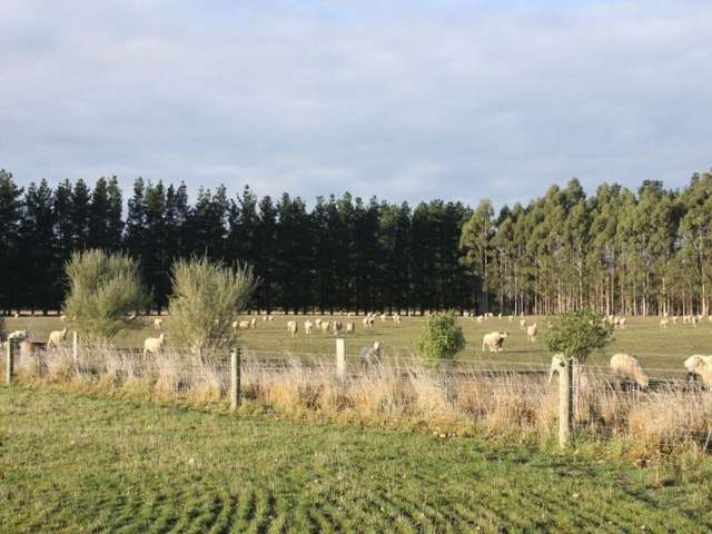 1821 North Eyre Road West Eyreton_1