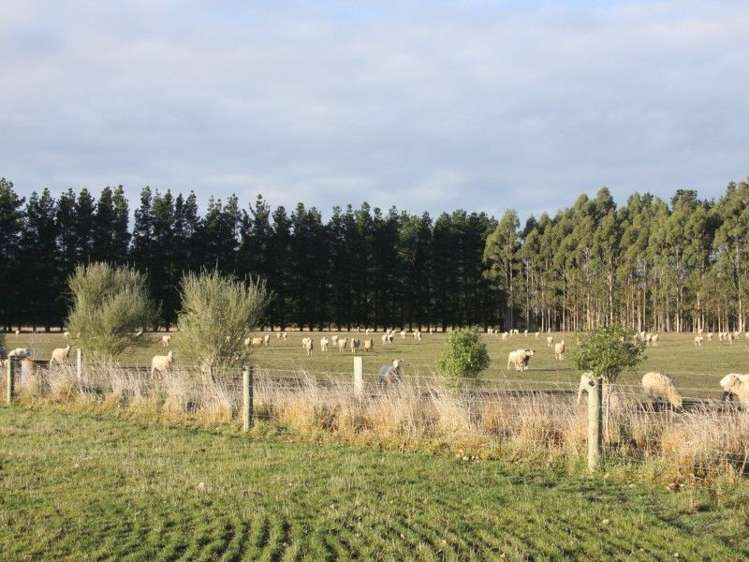 1821 North Eyre Road West Eyreton_1