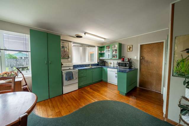 99 Abbot Street Waverley_2