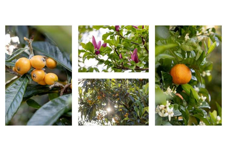 116 Minden Road Te Puna_26