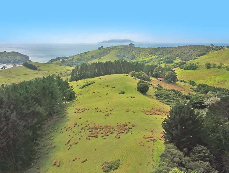 123 Goat Island Road Leigh_11