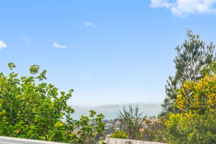 2b Spencer Road Pinehill_14