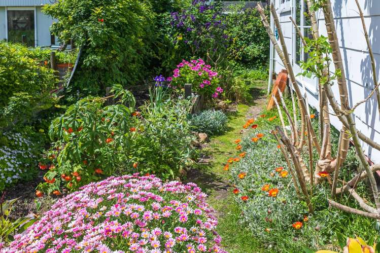 A & B/201 Robert Street, Tararu, THAMES Kopu_16