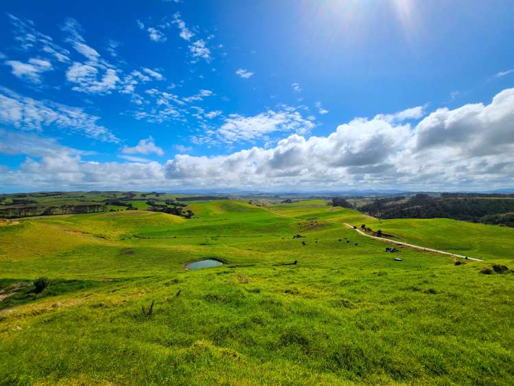 796 Mahuta Road Dargaville Surrounds_20