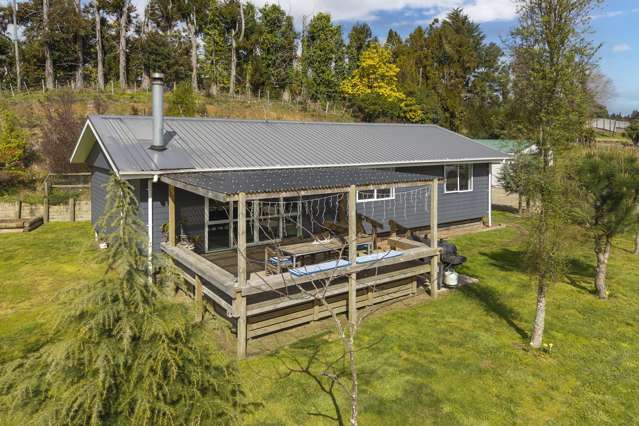 589 Rangiuru Road Te Puke_3
