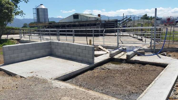 201 Steele Road Manawaru_6